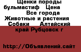 Щенки породы бульмастиф › Цена ­ 25 000 - Все города Животные и растения » Собаки   . Алтайский край,Рубцовск г.